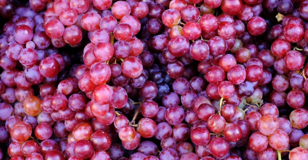 Close up of grapes