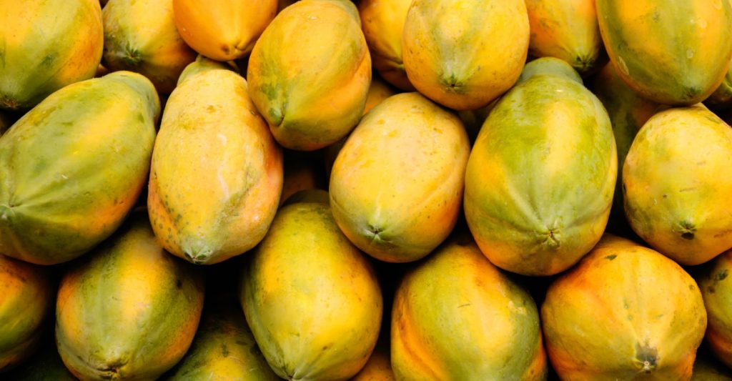 Close up of papayas